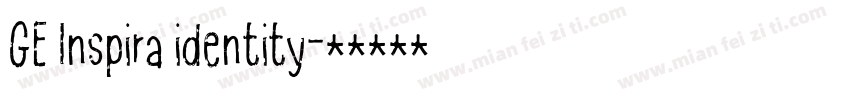 GE Inspira identity字体转换